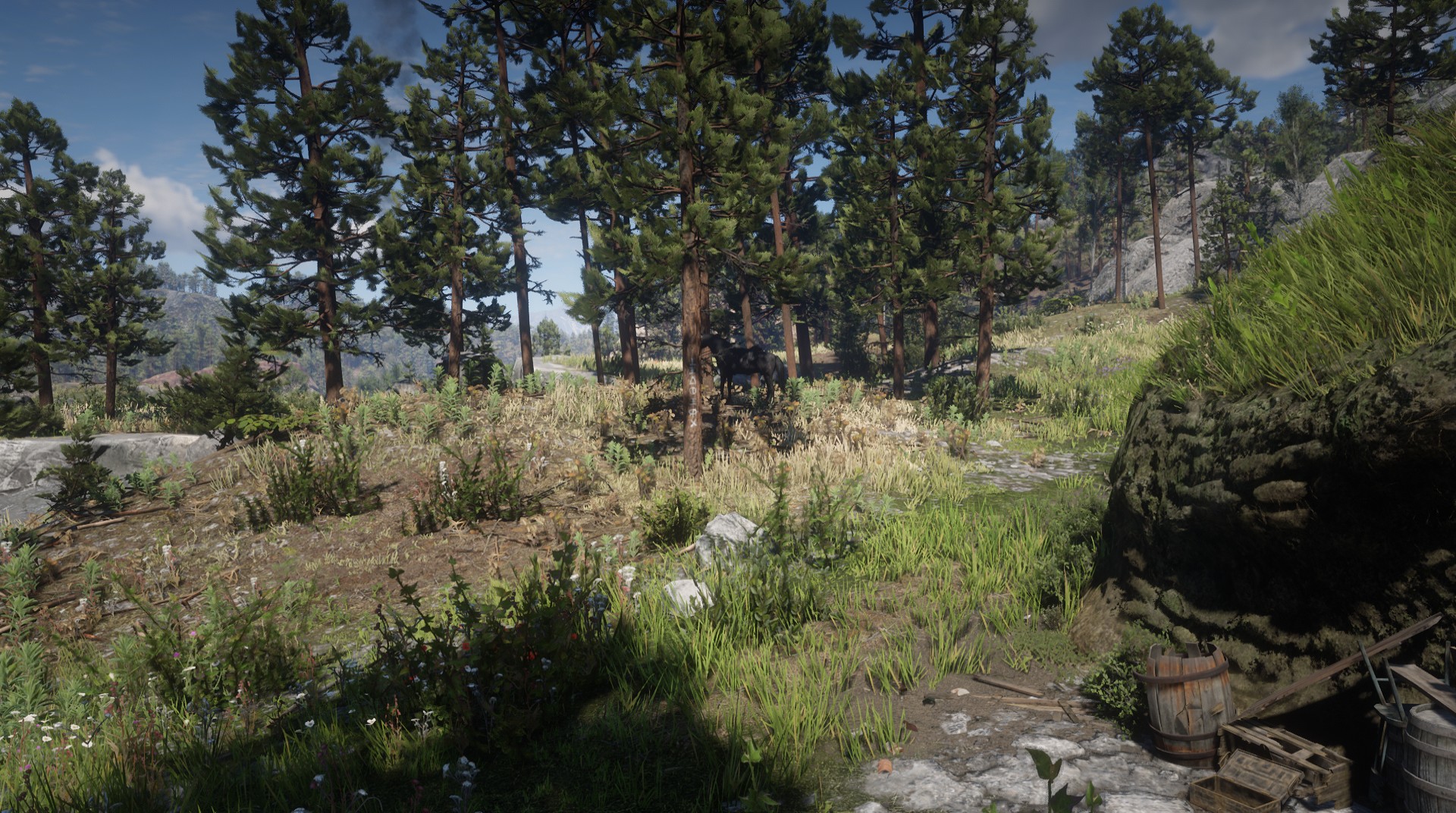 Mysterious Hill Home RED DEAD REDEMPTION 2 情報&攻略 wiki RDR2